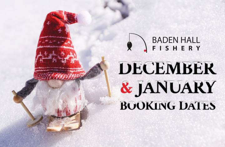 Christmas Opening Times