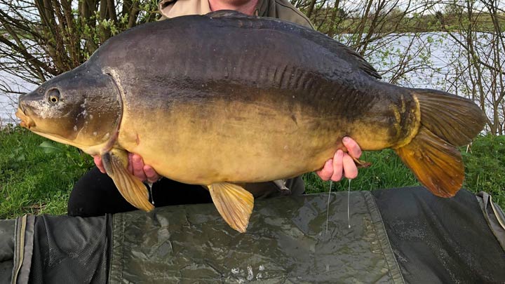 Baden Hall Fishery News