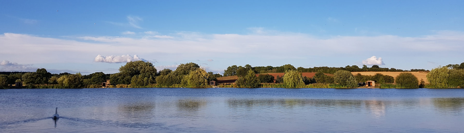 Baden Hall Fishery Staffordshire