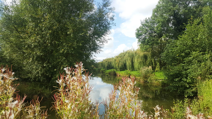 Pleaseure fishing on Canals match water
